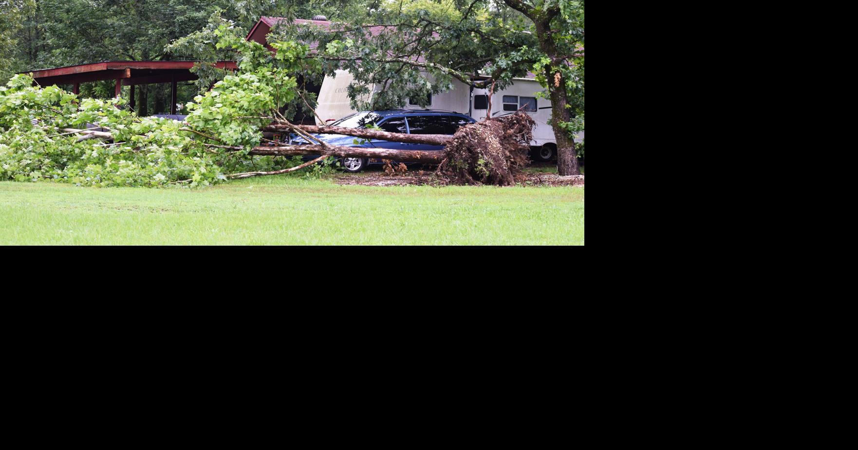 Tuesday Storm Topples Trees, Power Lines in Magnet Cove | Photo ...