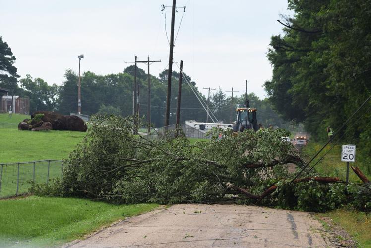 Tuesday Storm Topples Trees, Power Lines in Magnet Cove | Photo ...