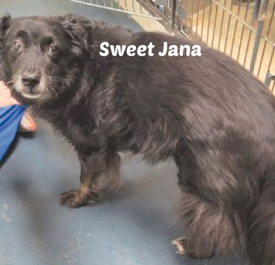 Sweet Jana