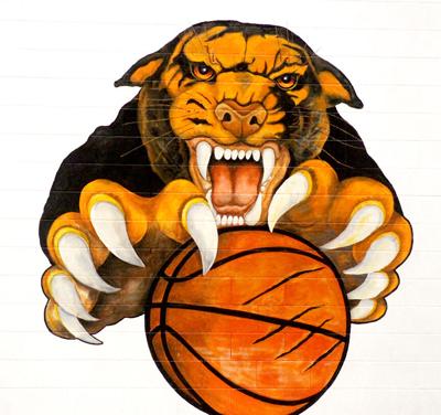 Magnet Cove basketball logo pic.