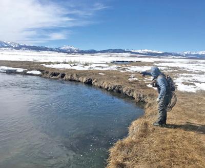 fishing the owens as snow melts