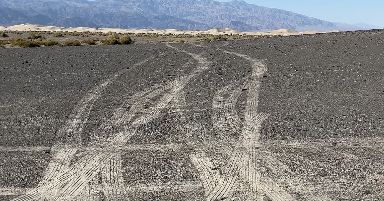 Conservationist’s concerns following visit to national parks during shutdown