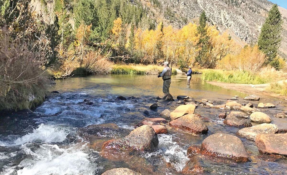 Perfect late fall fly fishing on the lower Owens River. Lots of