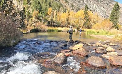 bishop creek fishing