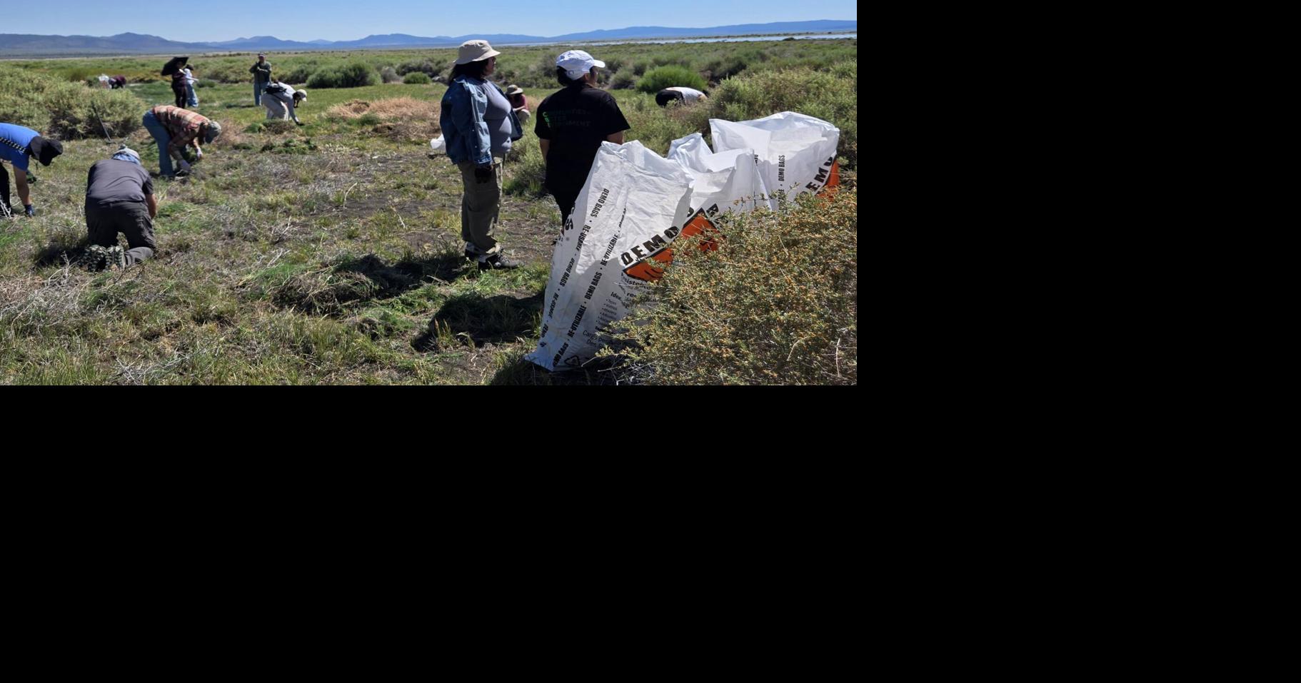 Tumbleweed mega-pulls at Mono Lake’s Black Point part of local environmentalist’s legacy