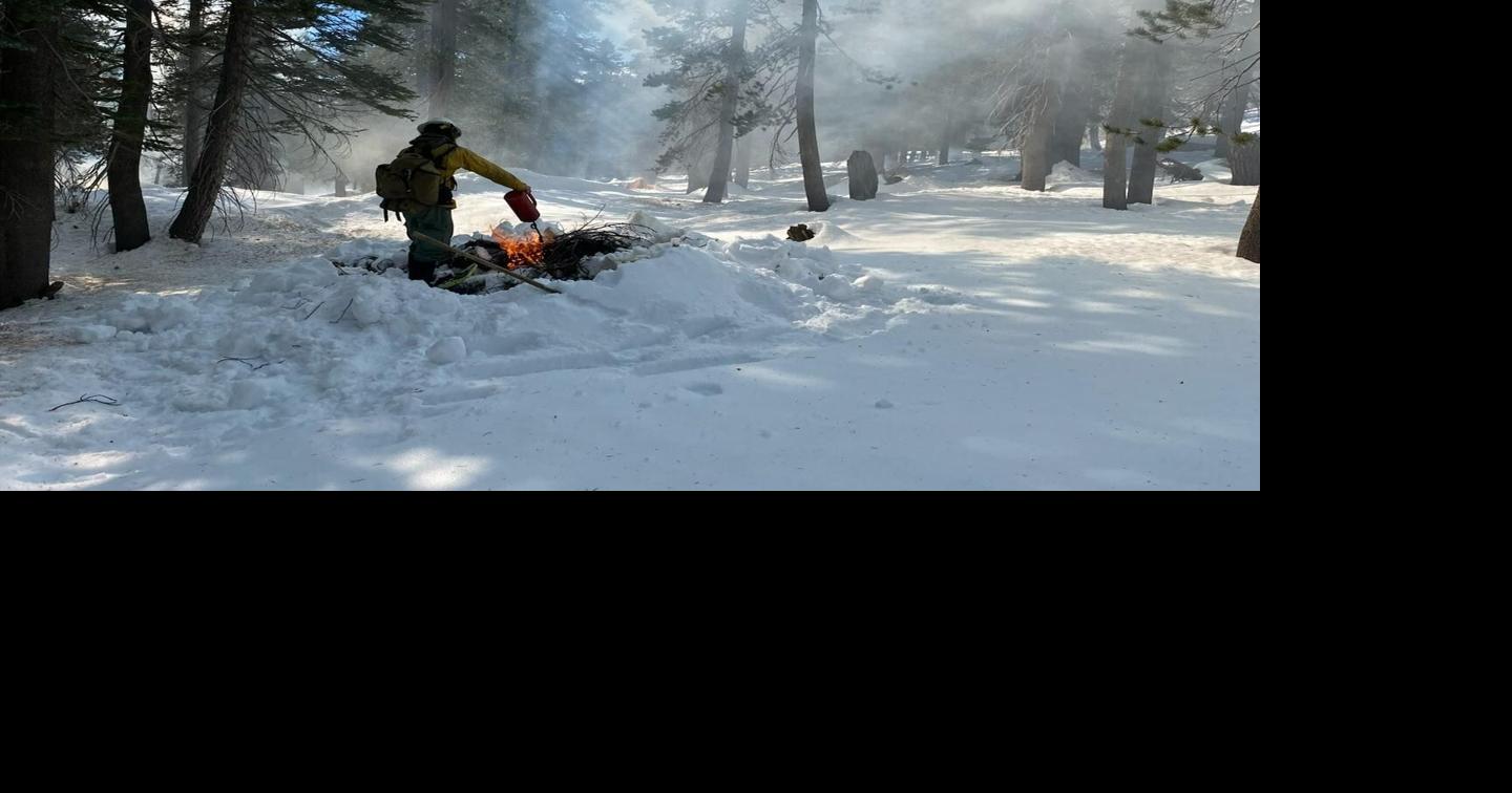 Fighting fire with fire: Inyo National Forest crews conduct pile ...