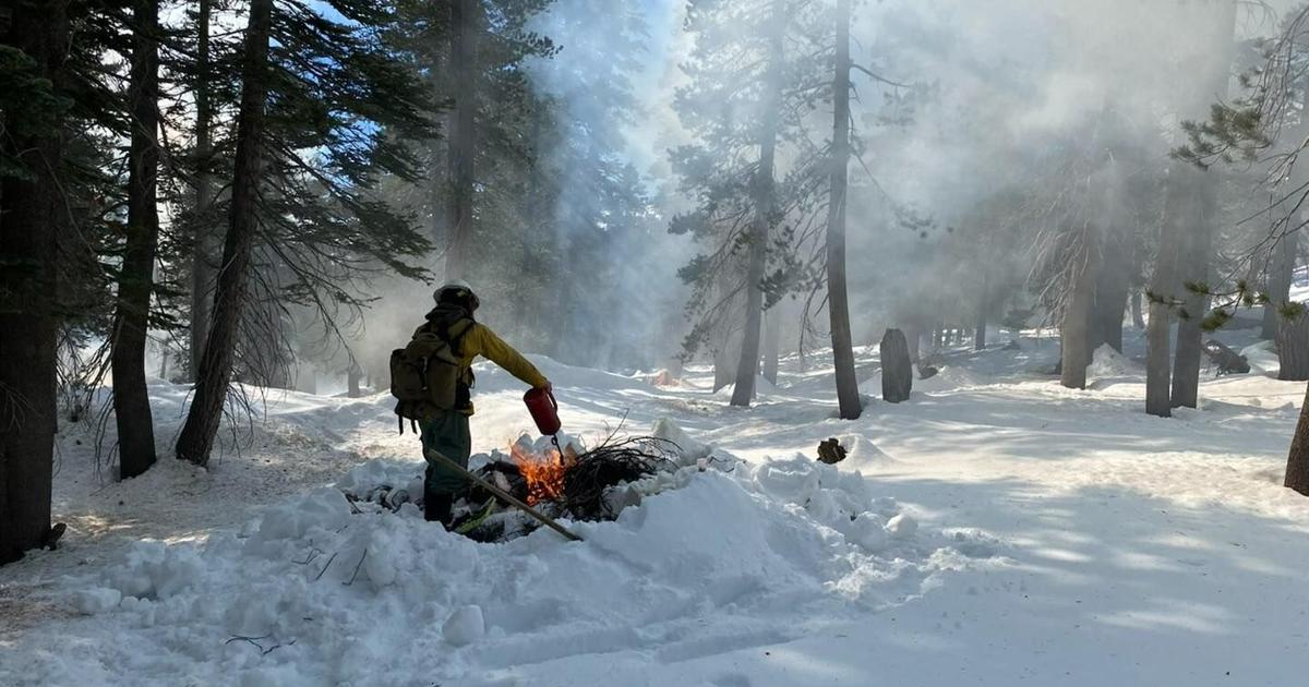 Inyo Complex Fire Fighting fire with fire: Inyo National Forest crews conduct pile ...