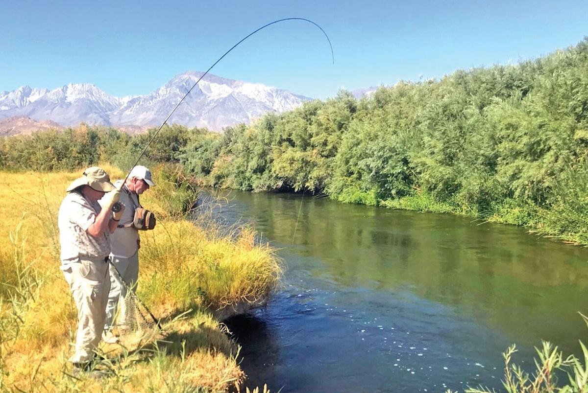 Trophy Trout Moving Into Tributaries, Sports