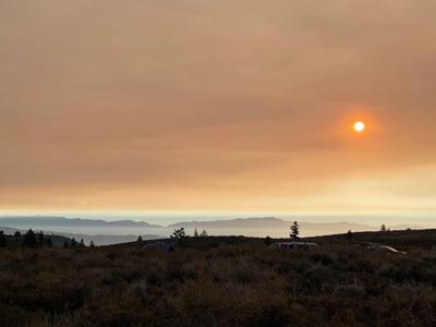 smoke surprise from knp from sept 21