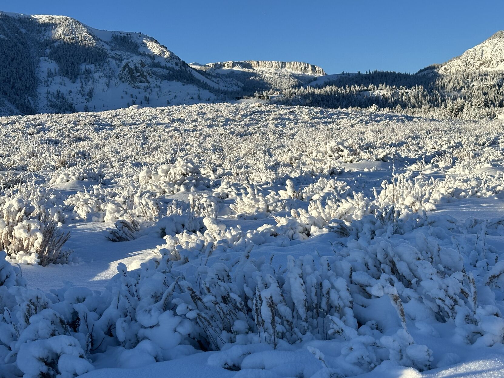 Atmospheric Rivers Trigger Winter Storm Warning | News | Mammothtimes.com