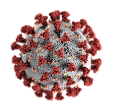 covid virus image