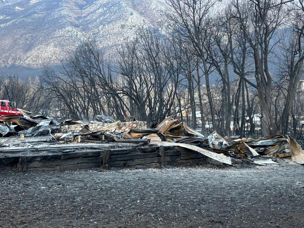 Pack Fire Out of the ashes: Pack Fire at McGee Creek | News | mammothtimes.com