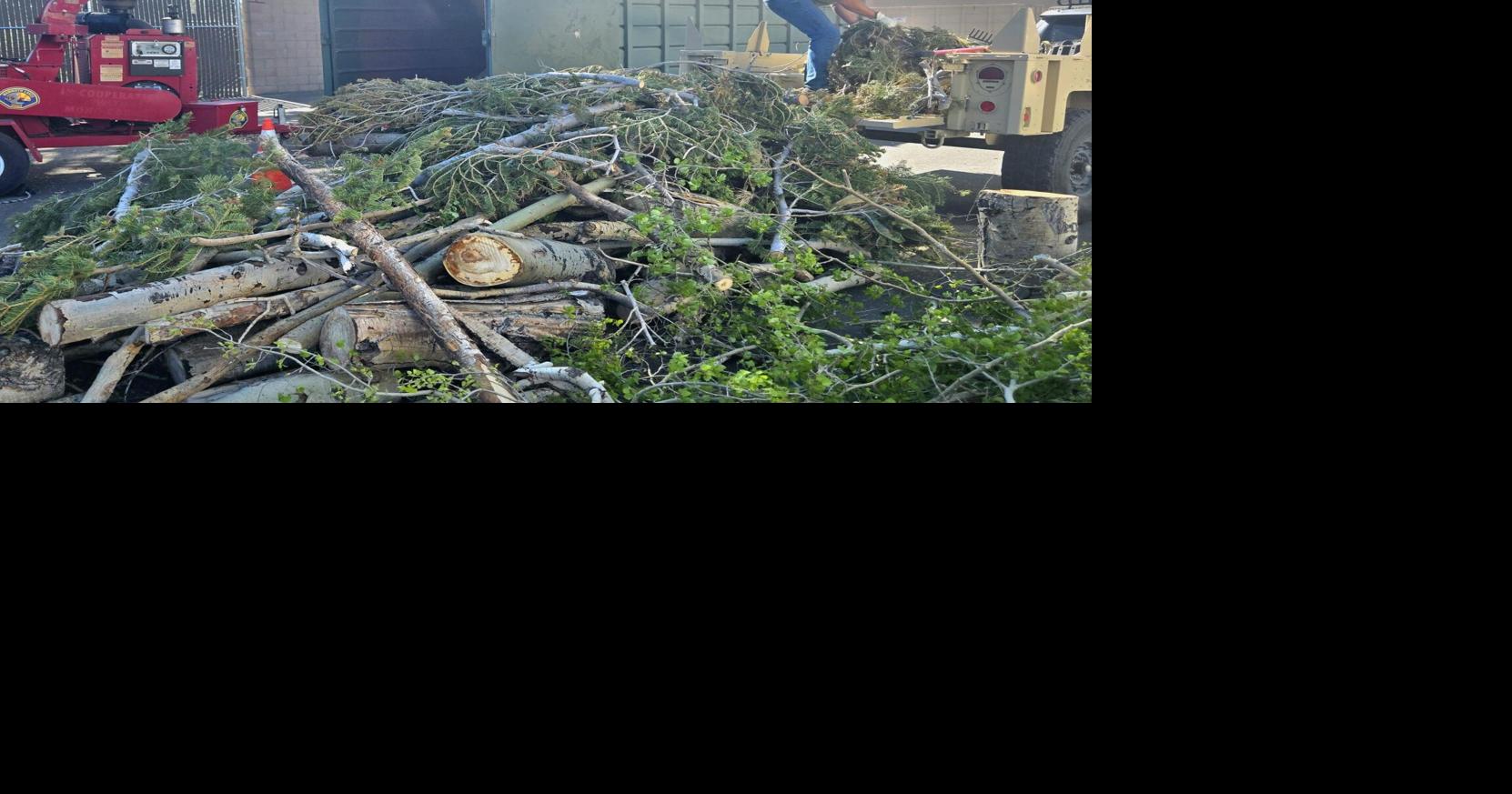 Building fire resilience and sustainability together
