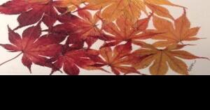 Gallery at Equinox Village presents sophisticated botanical art - Vimarsana News