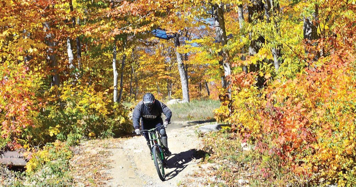 Vermont s Peak Fall Foliage Dates Predicted Local news vermont-s-peak-fall-foliage-dates-predicted-local-news
