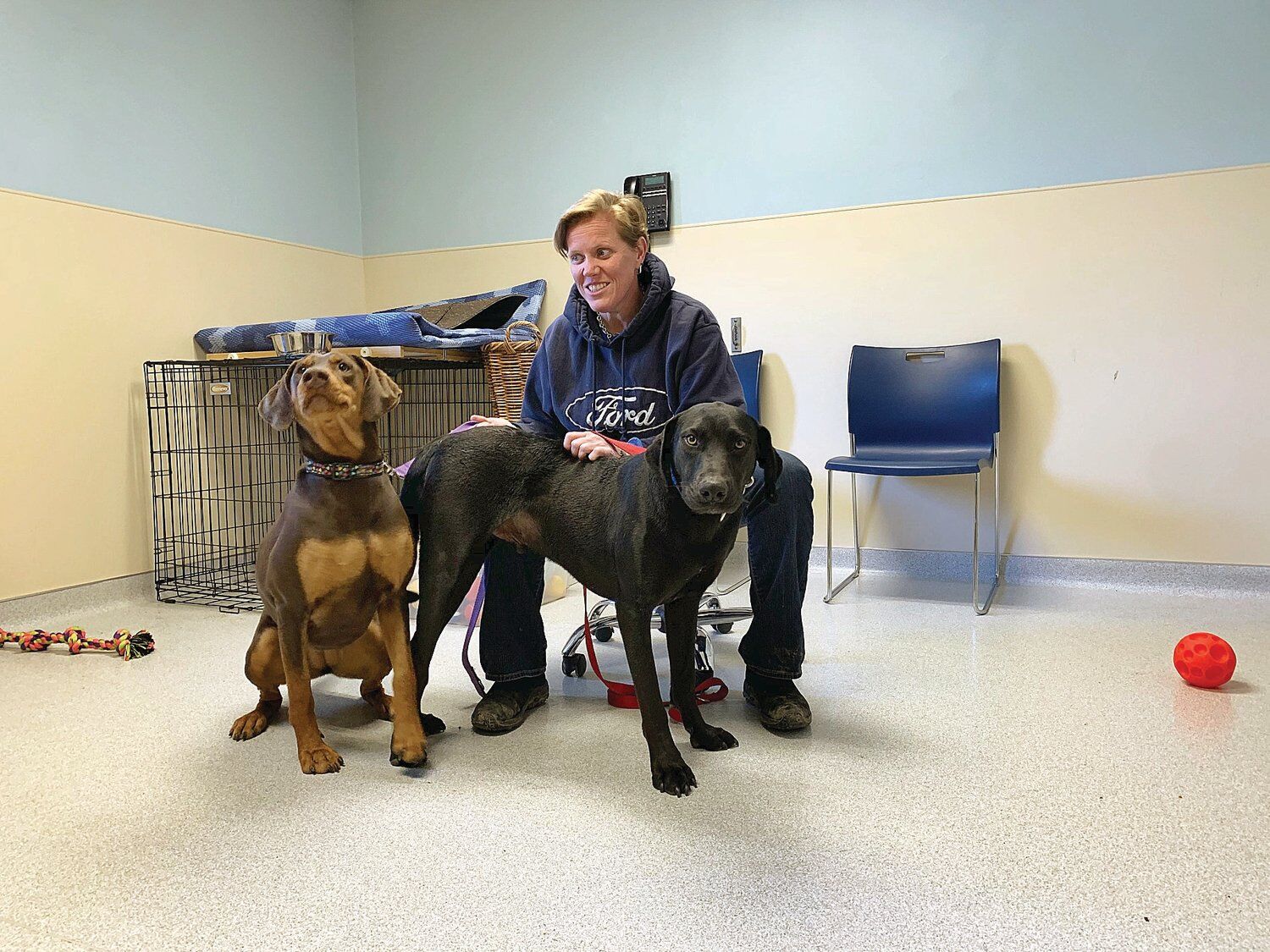 Our Four Legged Friends Deals Varsana