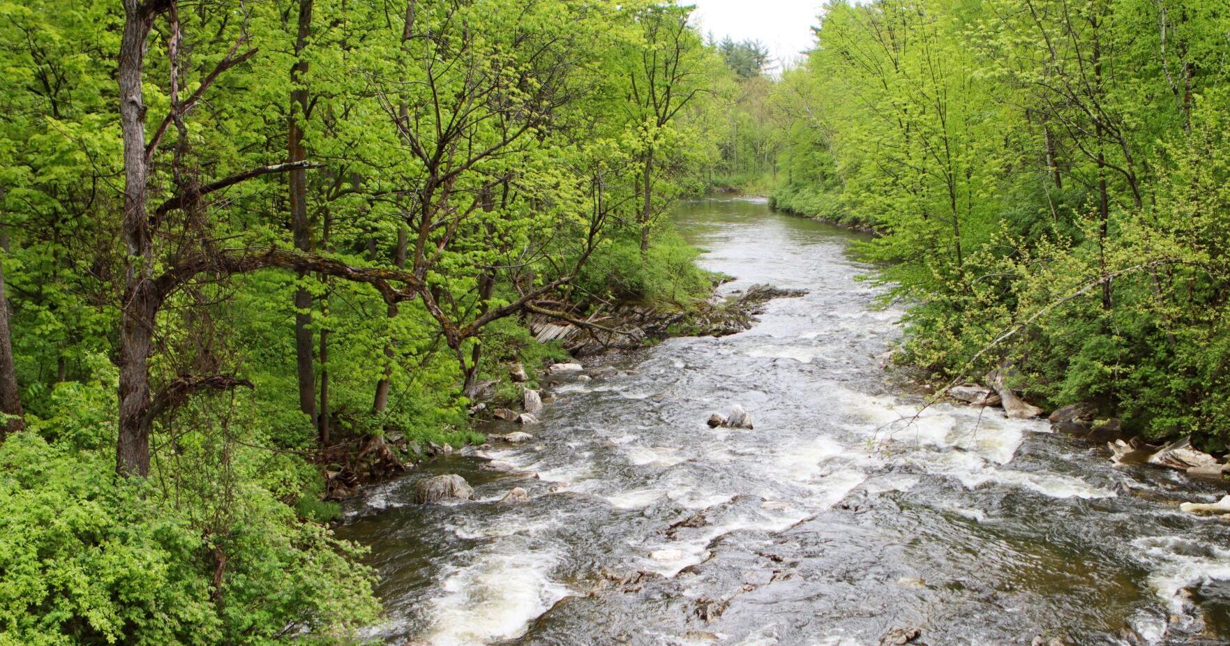 Vermont Habitat Stamp raises $450,000 for conservation - Vimarsana News