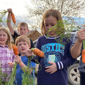 Farm to School and Early Childhood Vision Grant now accepting applications - Vimarsana News