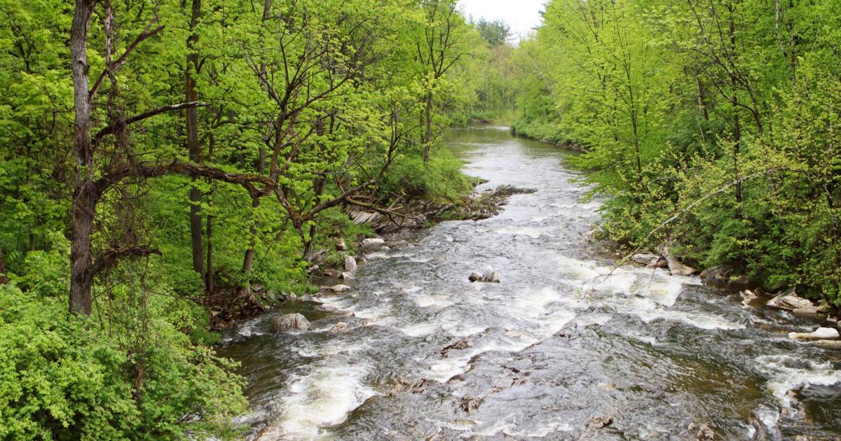 State to expand Otter Creek Wildlife Management Area Localnews