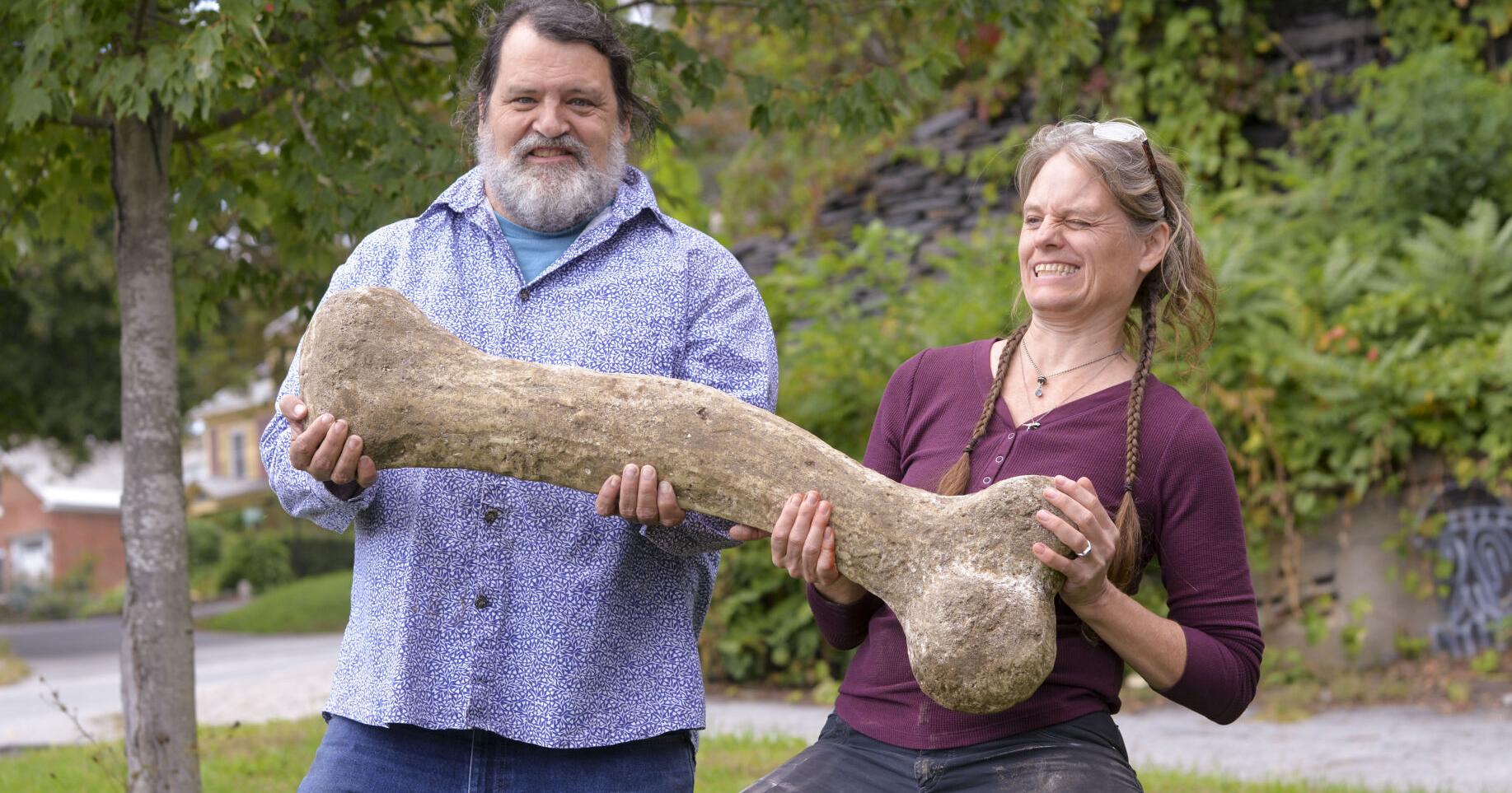 Dino bones to be dug up during Gallery Walk - Vimarsana News
