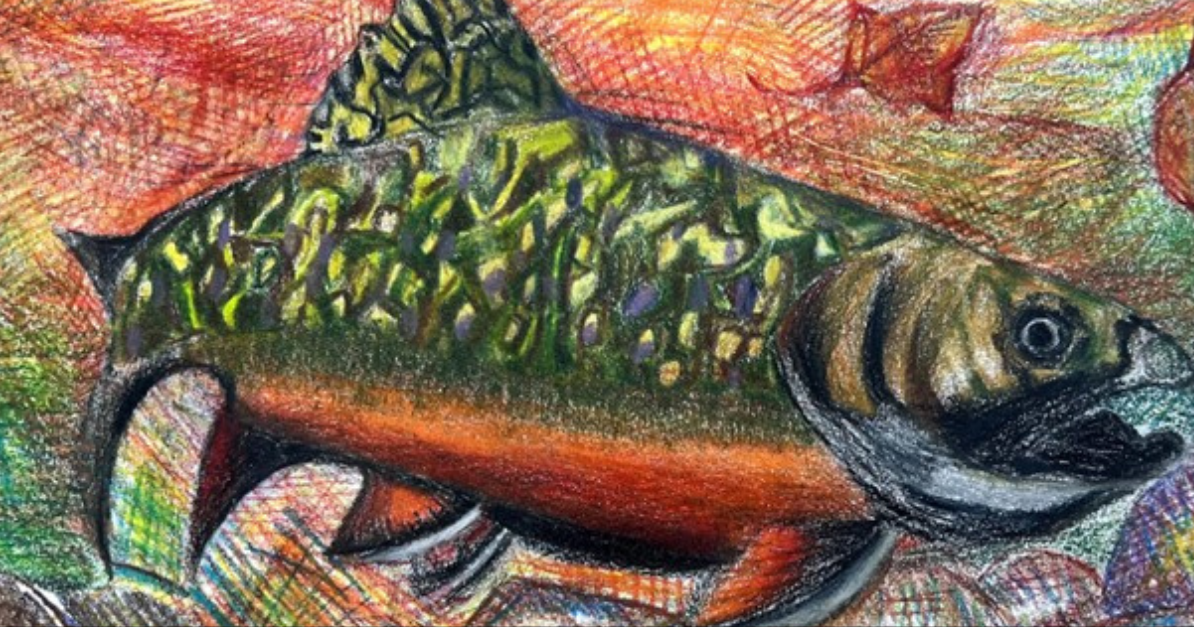 VT Fish & Wildlife announces K-12 student Fish Art Contest