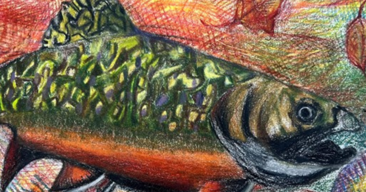 VT Fish & Wildlife’s K-12 Student Fish Art Contest is now open