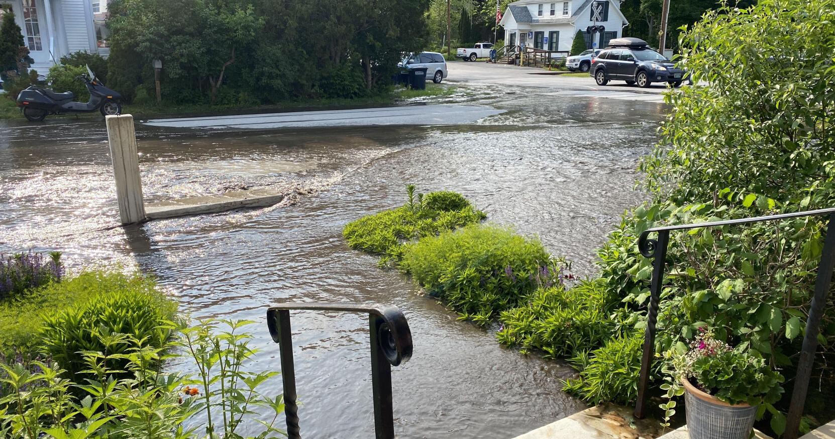 Beaver dam fails in East Dorset, but baffle did its job limiting damage - Vimarsana News