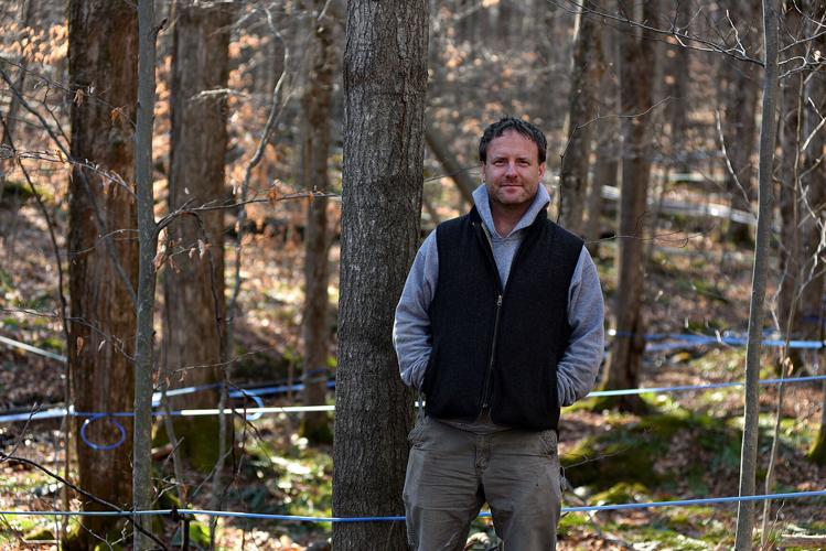 Book review Vermont Almanac III chronicles state’s simple joys Arts