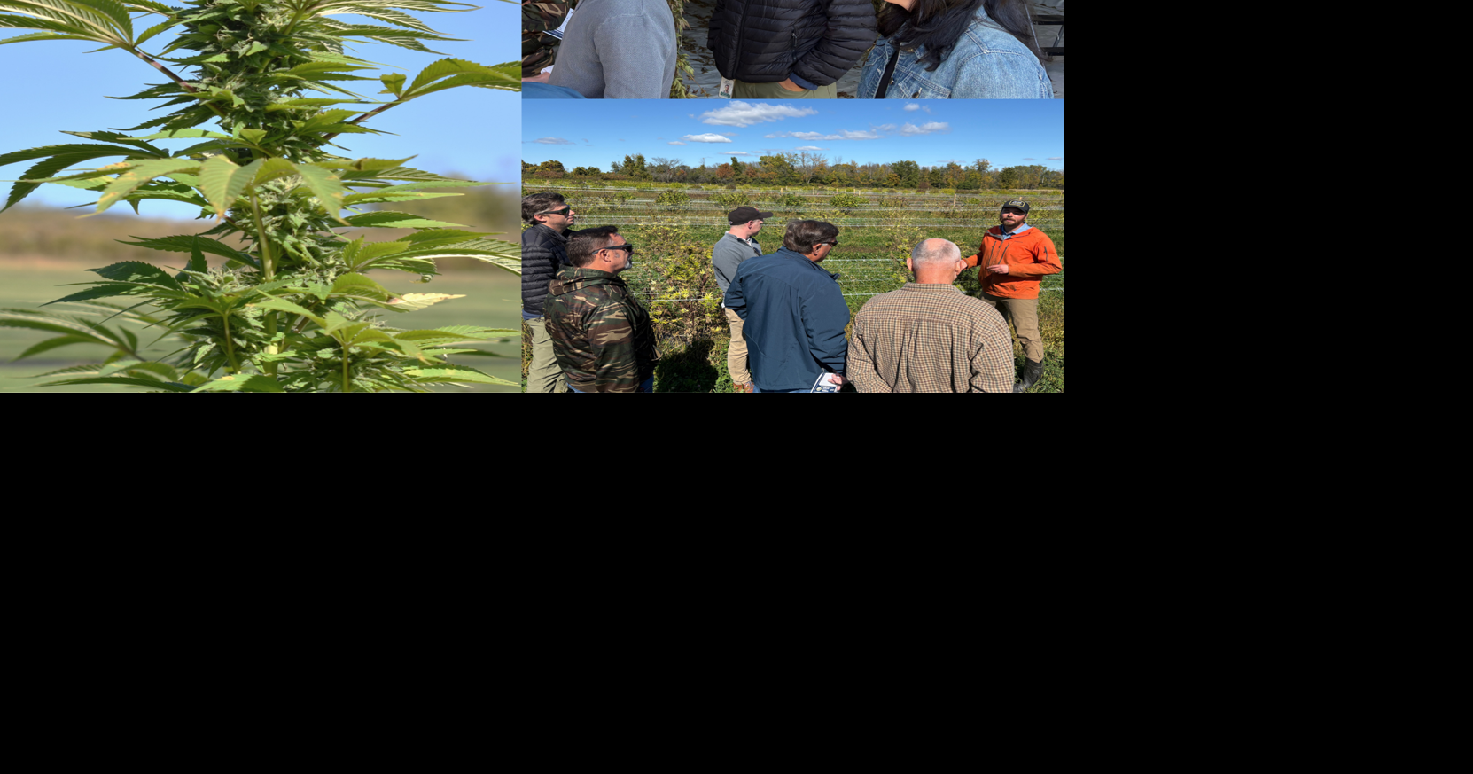 Vermont Cannabis Control Board goes out 'in the field'