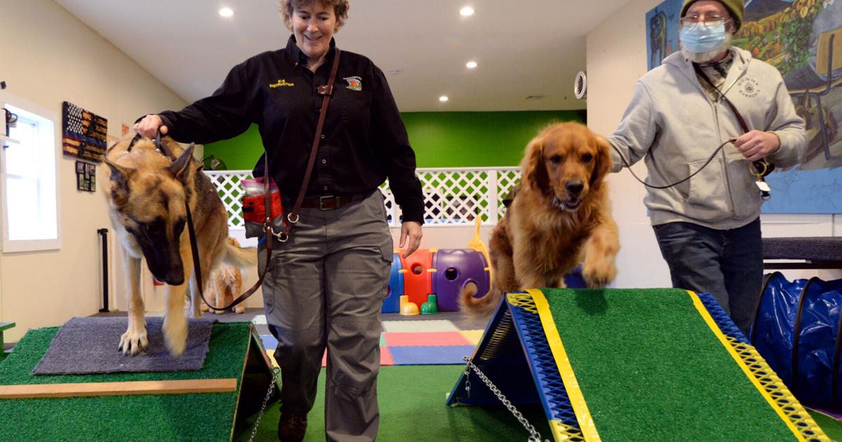 Service dog trainer hopes to expand program serving veterans |