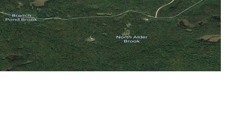 Lost hunter spent night in woods, emerges OK; got his deer - Vimarsana News
