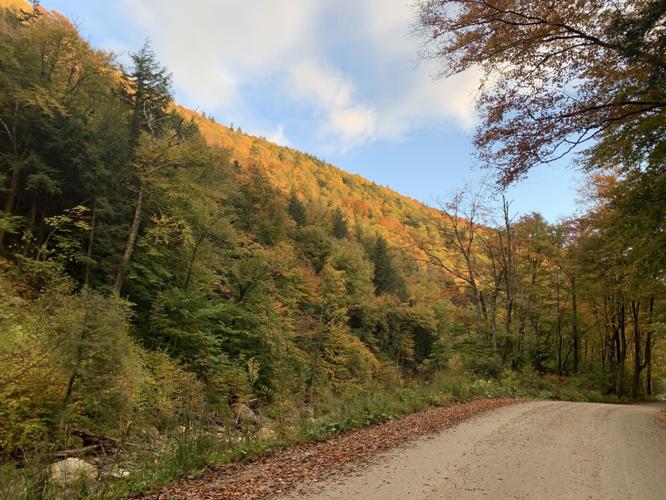Kelley Stand Road cabin owners face dilemma on ATVs Localnews
