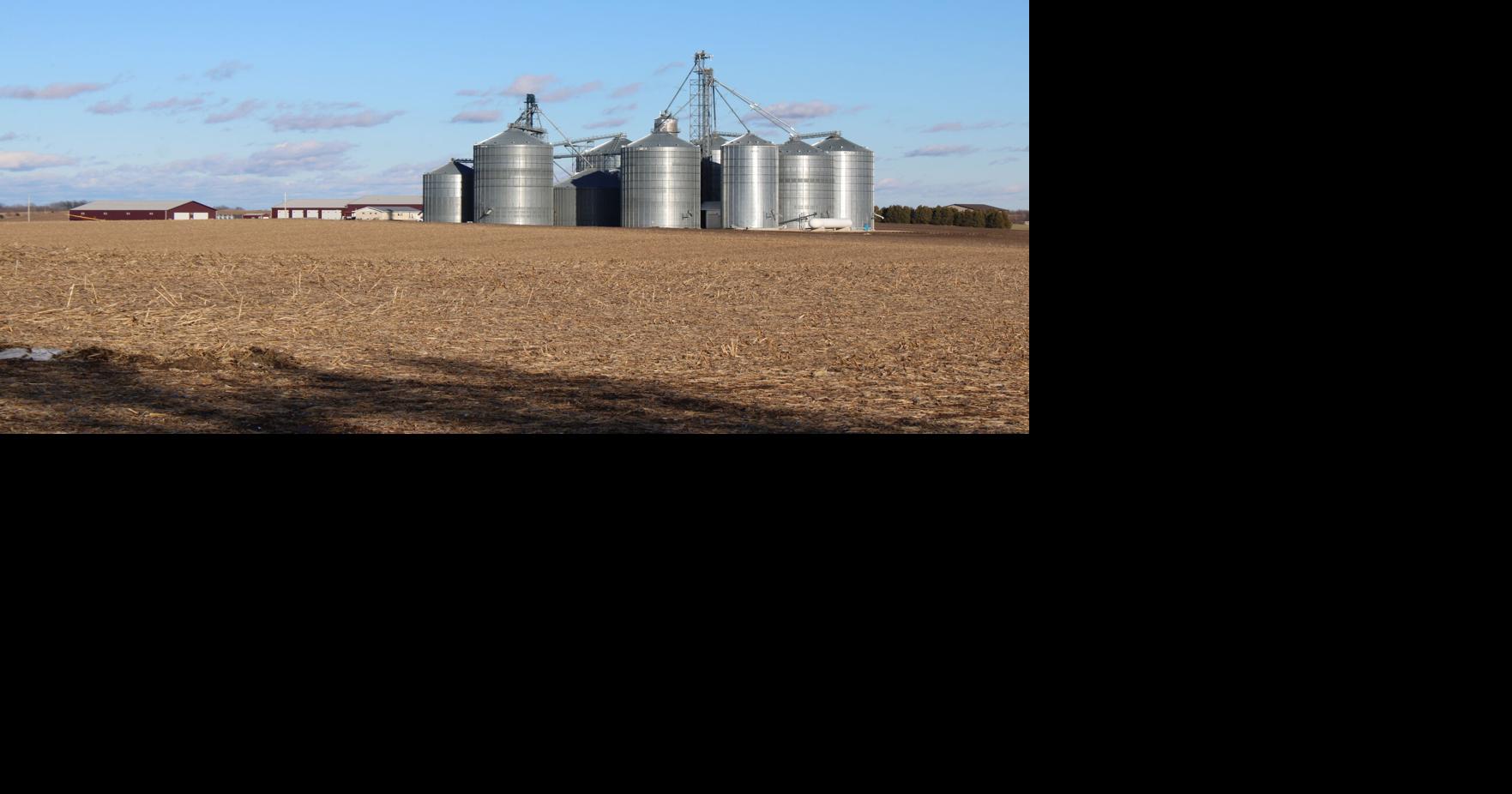 Kelchen Grain remains rooted in Edgewood | News | manchesterpress.com
