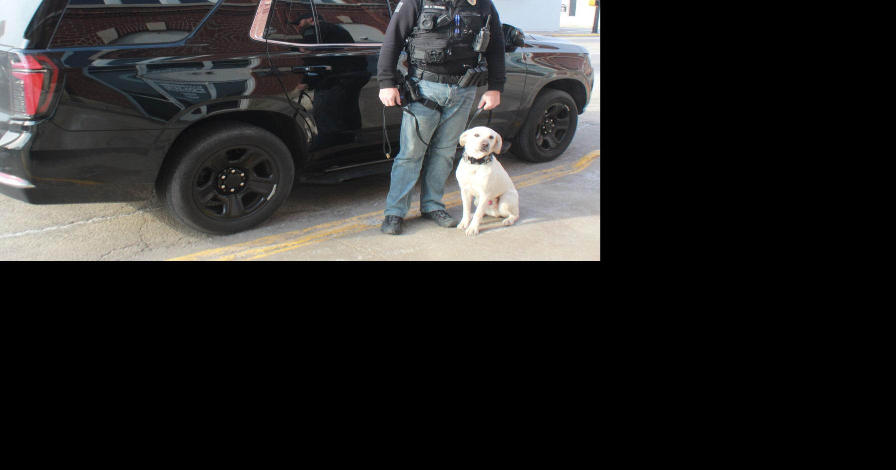 New K-9 Cash is on the job | News | manchesterpress.com