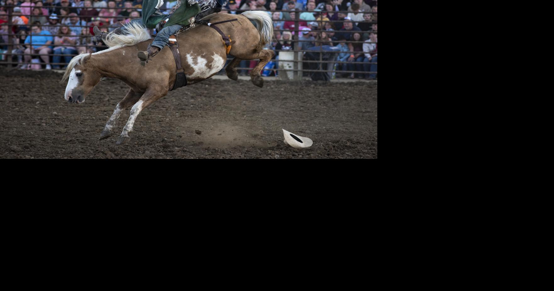 Scenes from the Edgewood Rodeo | News | manchesterpress.com