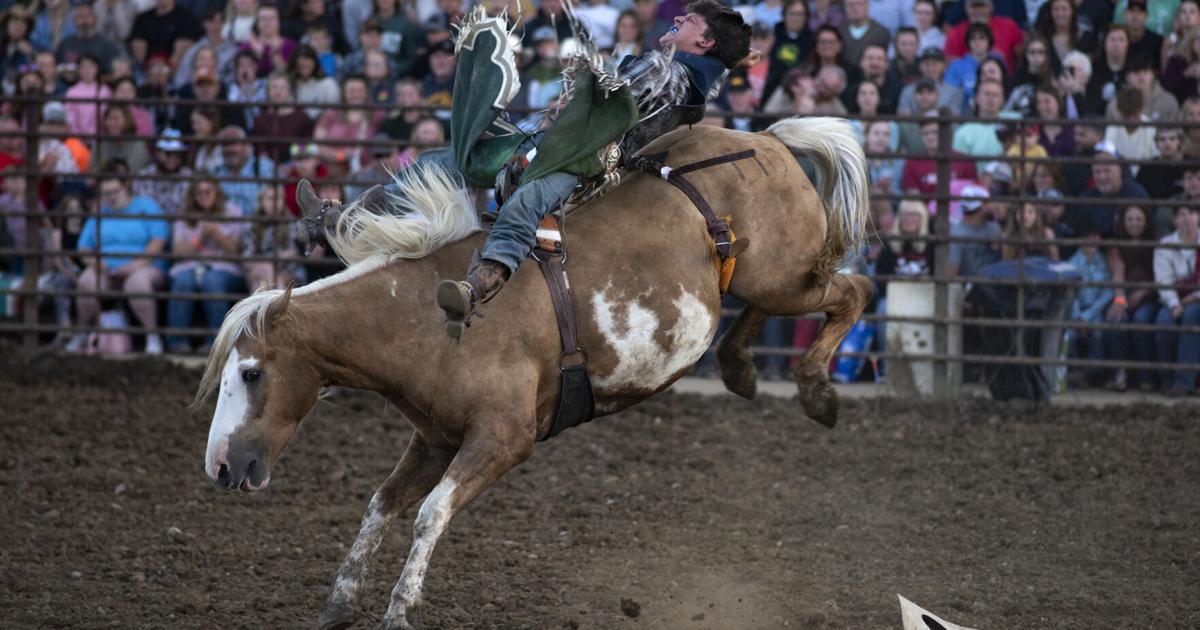 Edgewood Rodeo Scenes from the Edgewood Rodeo | News | manchesterpress.com