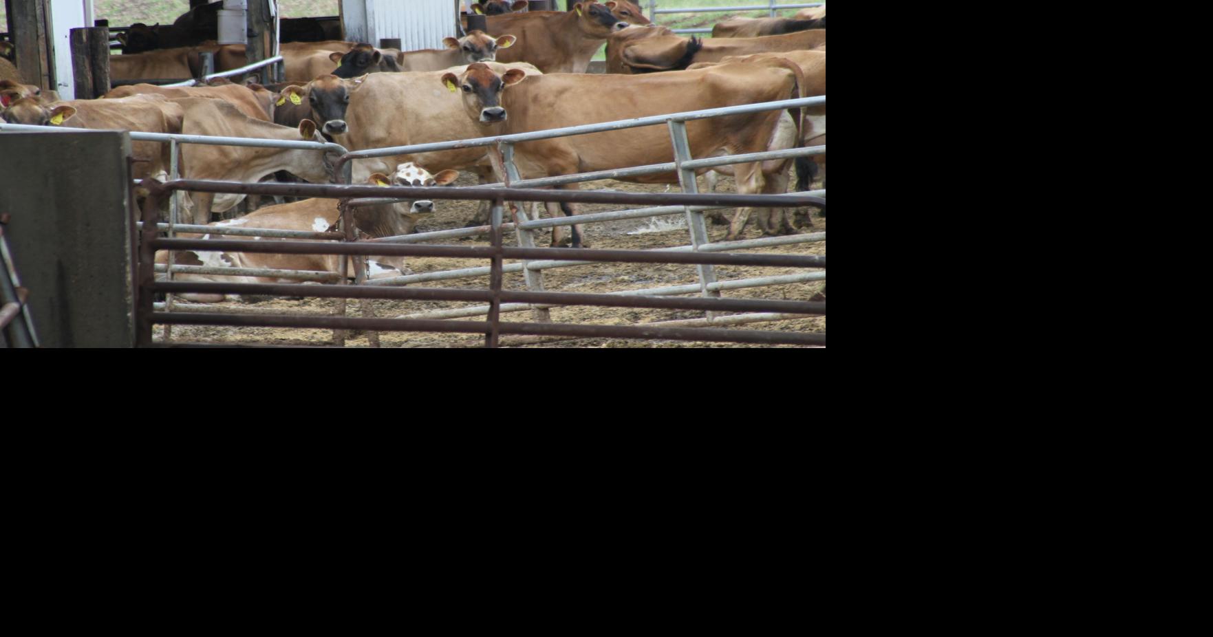 Kunde family hosts national Jersey group News