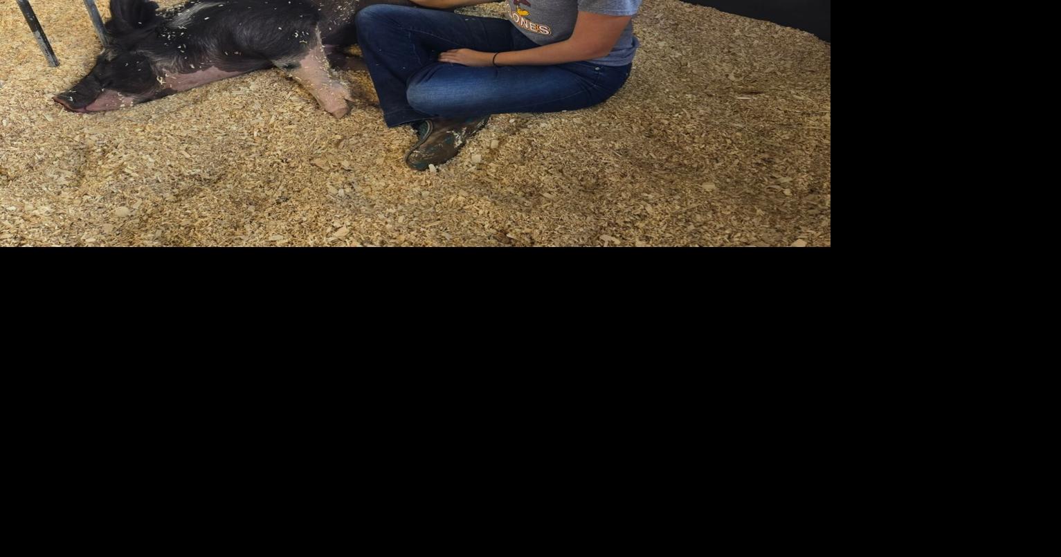 Mensen still able to enjoy showing pigs | News | manchesterpress.com