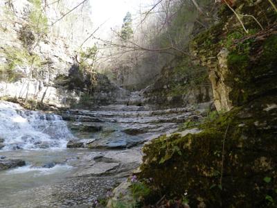 Go take a hike: Experience some of the nature that Tennessee has to offer this weekend for National Trails Day