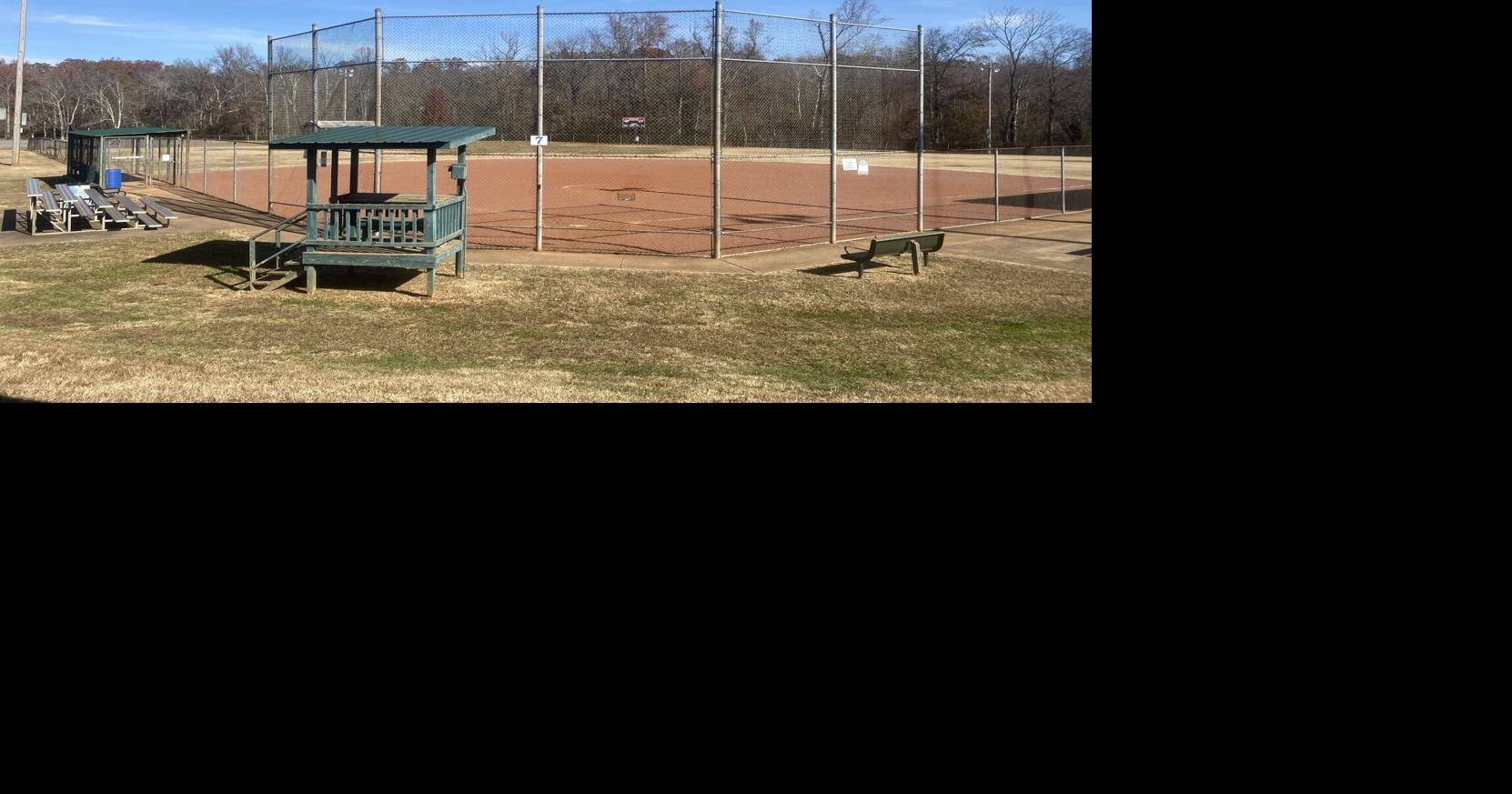 Fast Pitch Association looks to grow program Local News