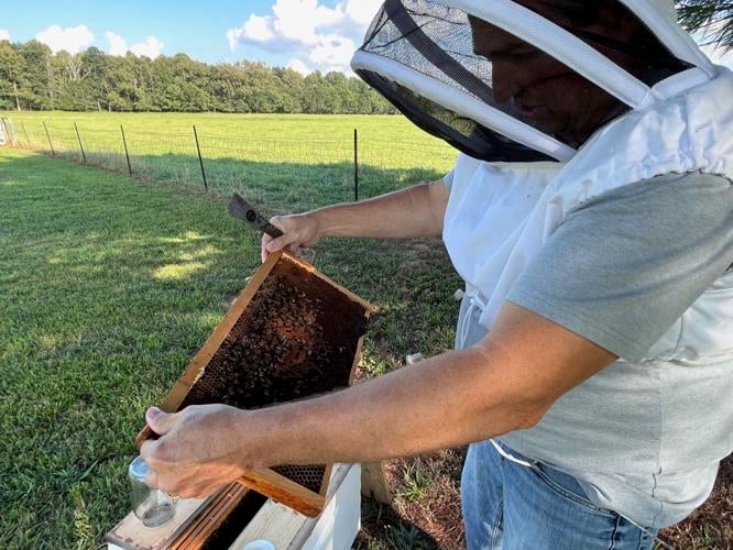 Meet this 7-year-old beekeeper whose passion for her hobby matches