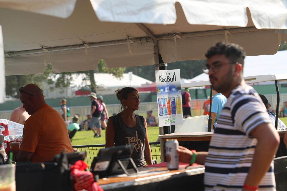 Non profits see big bonnaroo benefits