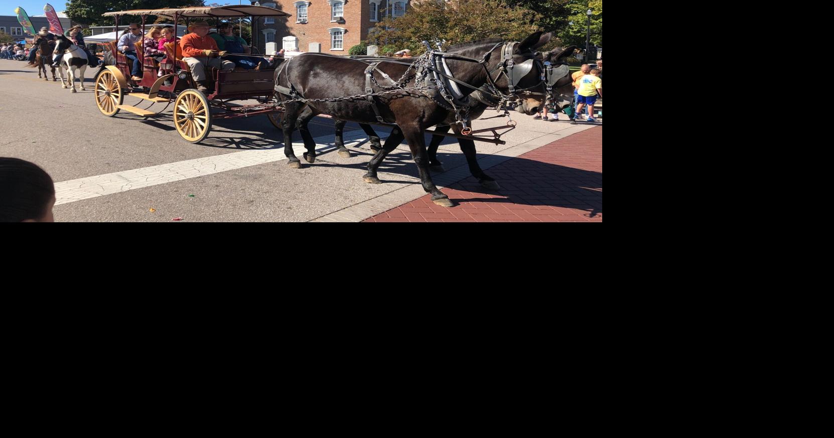 Old Timers Day returns to Manchester Town Square Local News