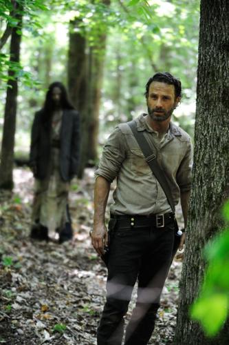 Flourish kravle Marquee The Walking Dead' S4 E13: 'Alone' | Entertainment | manoanow.org