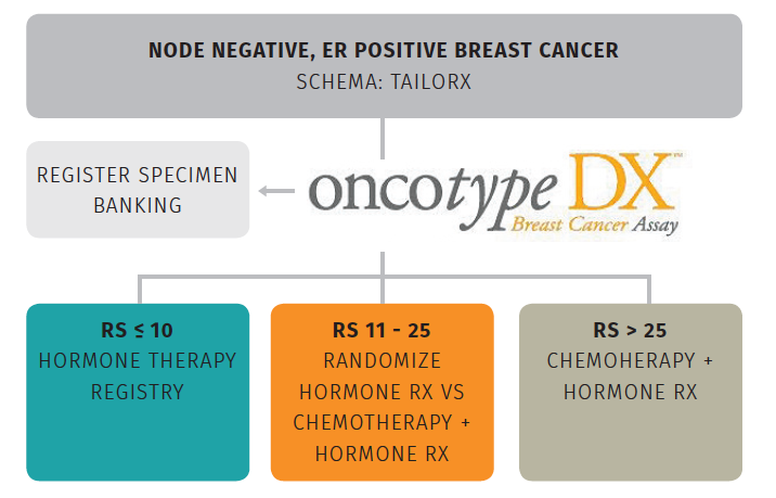 Individualizing breast cancer treatment  News  manoanow.org