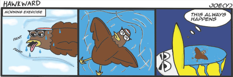 Hawkward