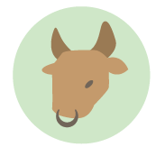 Horoscope - Taurus