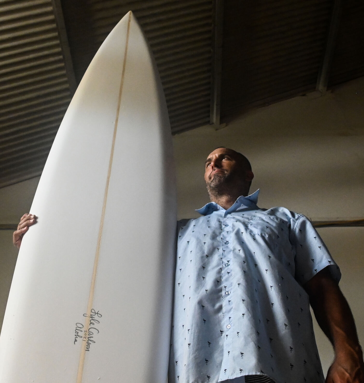 Lyle carlson deals surfboards price