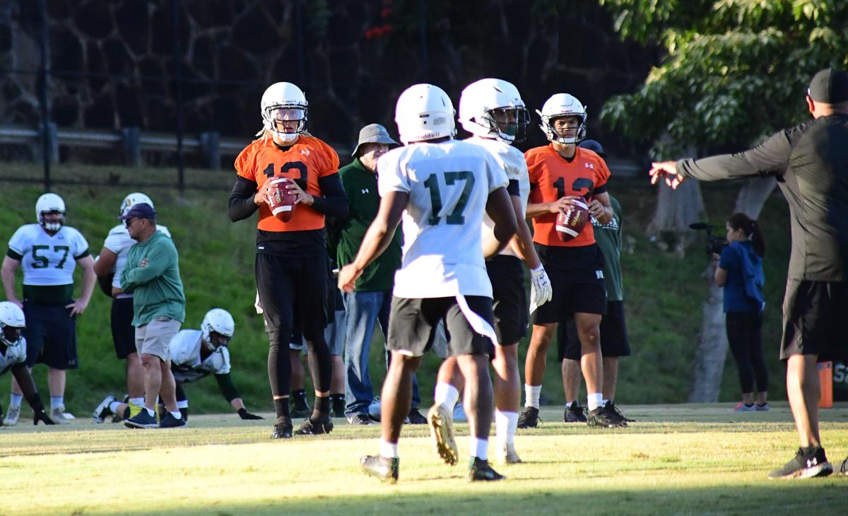 Rainbow Warriors Open 2019 Spring Football Sports Manoanow Org
