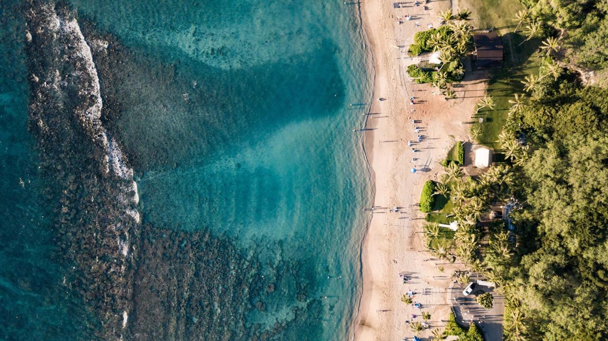 Ocean & Beach